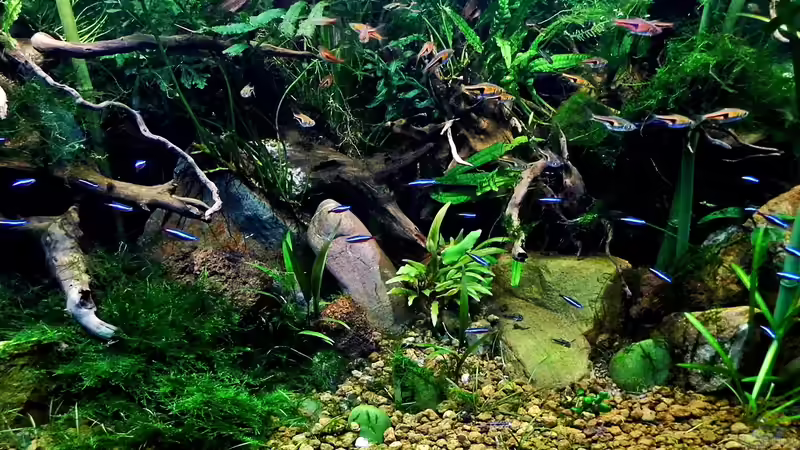 Stand 25.07.2014 Stand 25.07.2014