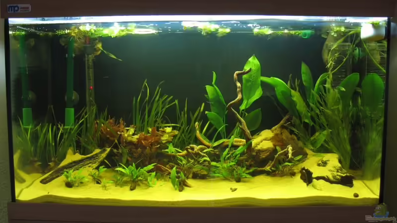 Stand 6. Januar 2007 Stand 6. Januar 2007