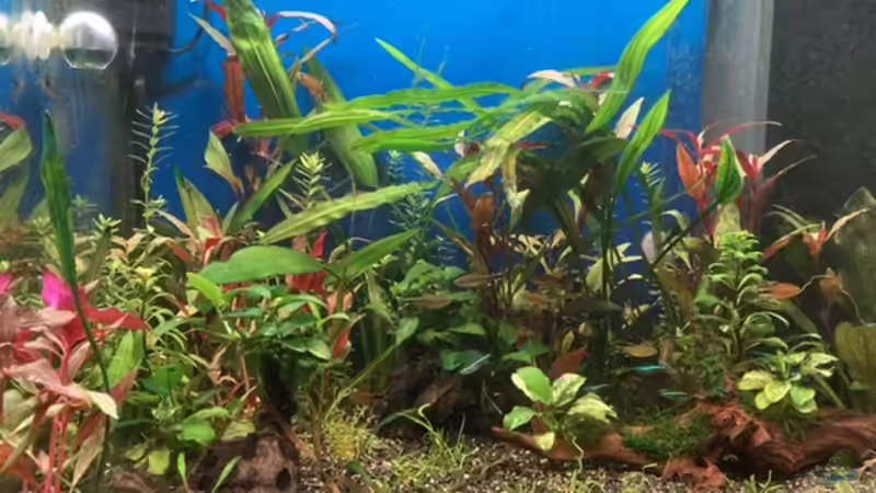 Stand 8.8.20 Stand 8.8.20