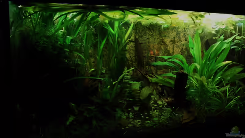 Stand Ende Dezember 2013 Stand Ende Dezember 2013