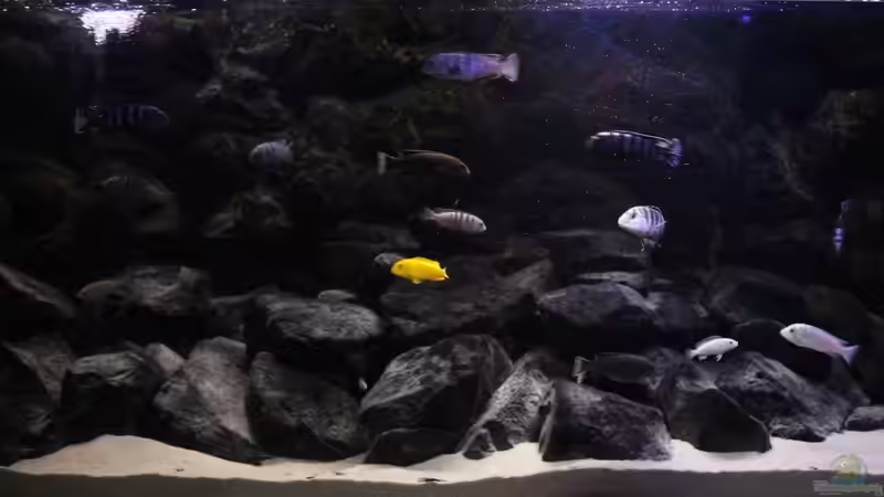 Stand etwa Oktober 2015 Stand etwa Oktober 2015