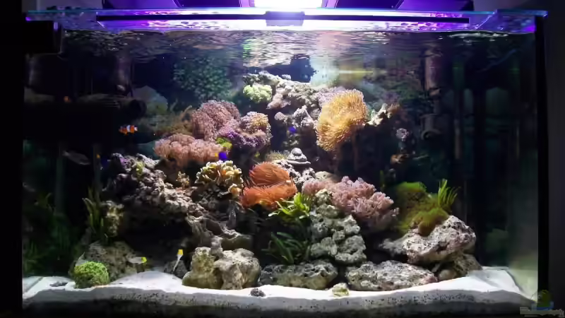 Stand Februar´09 Stand Februar´09