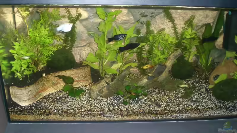 Stand März 2008 Stand März 2008