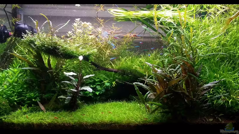 Stand März 2013 Stand März 2013