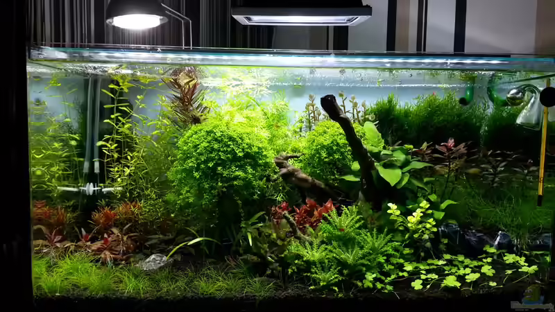 Stand Nov. 2013 Stand Nov. 2013