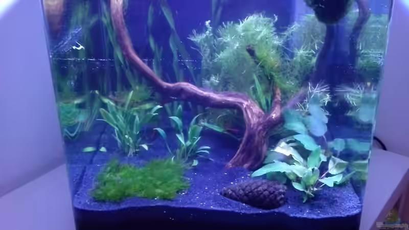 Start nach Umbau Start nach Umbau