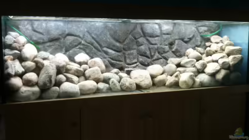 Steinaufbau geschafft. Steinaufbau geschafft.