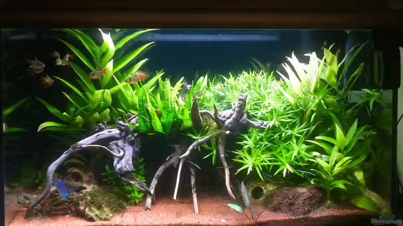 Südamarika 64 Liter Südamarika 64 Liter