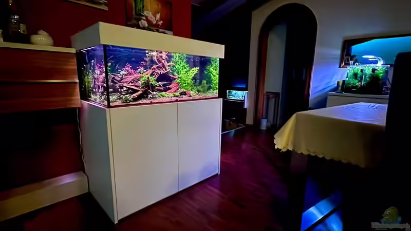 Südameria Tank Südameria Tank