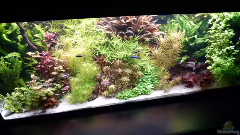 Südamerika - Becken Südamerika - Becken