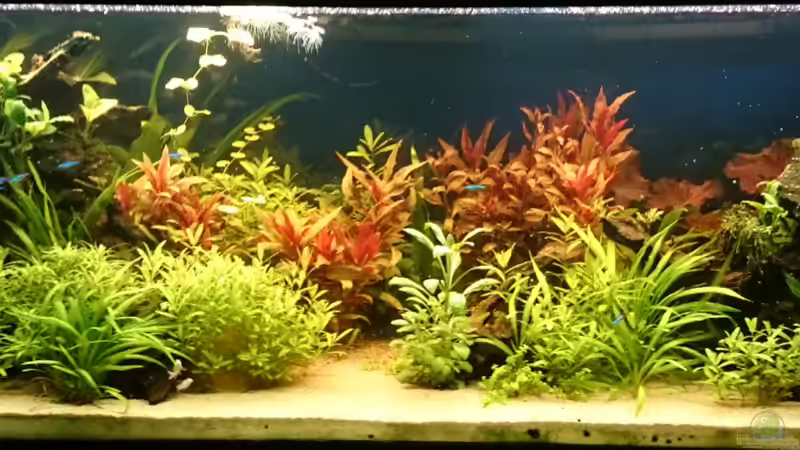 Südamerika Südamerika