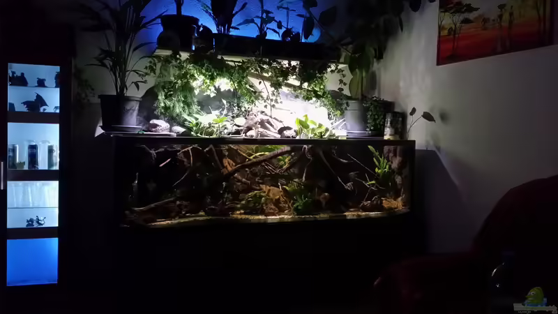 Südamerika Flussufer 540 l Südamerika Flussufer 540 l