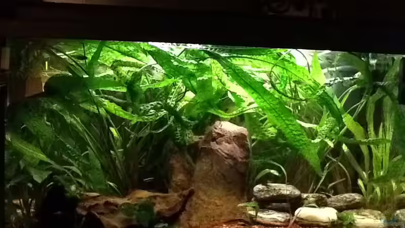 Südamerika Südamerika