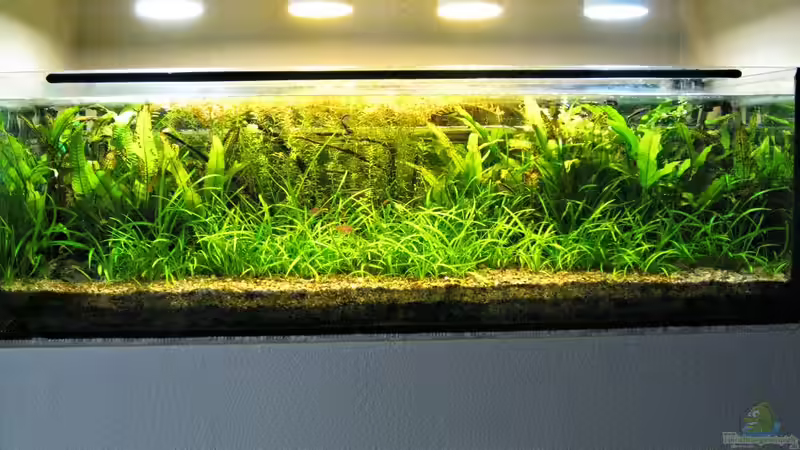 Südamerikabecken Südamerikabecken