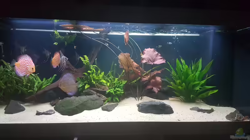 Südamerikanisches Idyll Südamerikanisches Idyll