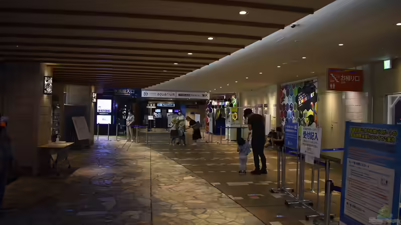 Sunshine Aquarium in Ikebukuro, Tokio - Das faszinierende Meeresparadies über den Dächern der Stadt