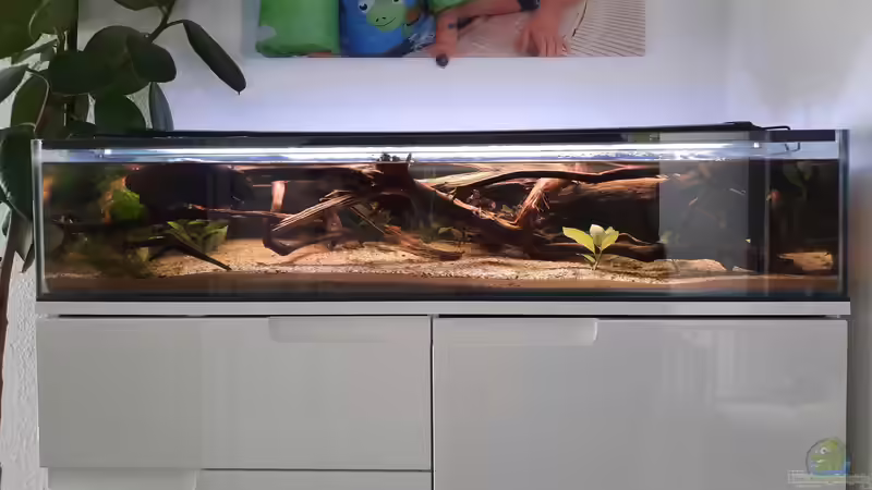 Tag 3 nach der Inbetriebnahme Tag 3 nach der Inbetriebnahme