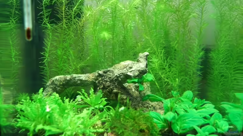 Tag 5 nach Einrichtung Tag 5 nach Einrichtung