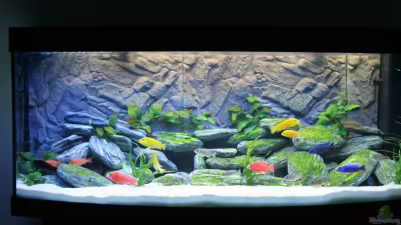 Tagesbeleuchtung 80% Tagesbeleuchtung 80%