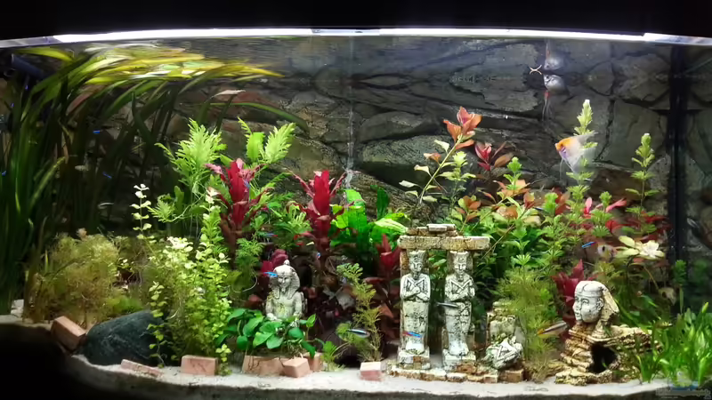 Tal der Könige Tal der Könige