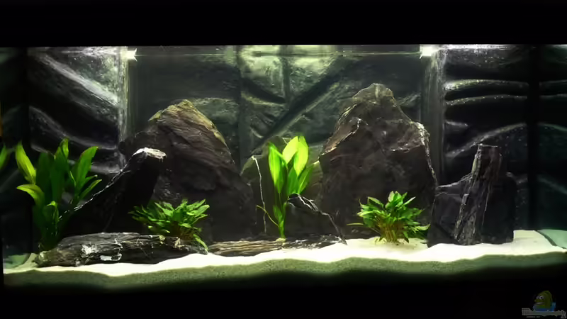 Tanganijka Becken mit Schiefer Tanganijka Becken mit Schiefer