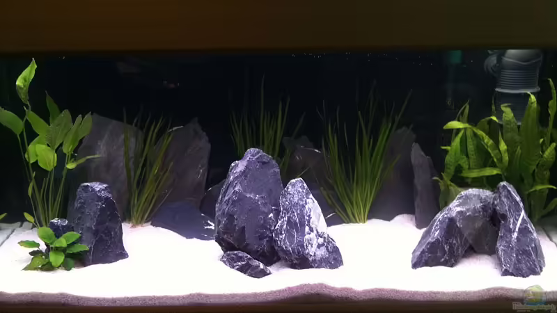 Tanganjika 180l Tanganjika 180l