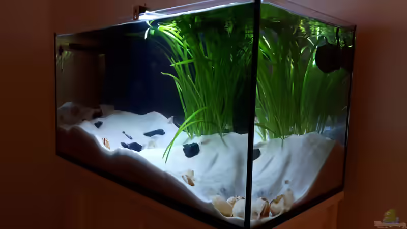 Tanganjika 54L Tanganjika 54L