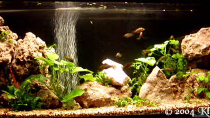 Tanganjika Becken Tanganjika Becken