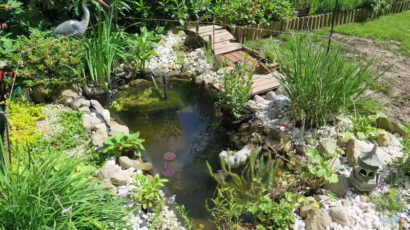 Teich Hauptansicht von Gartenteich AL-KO T 600 Teich Hauptansicht von Gartenteich AL-KO T 600