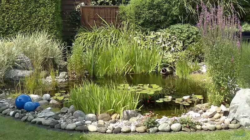 Teich Hauptansicht von "Neulich im Ruhrpott...." Teich Hauptansicht von "Neulich im Ruhrpott...."