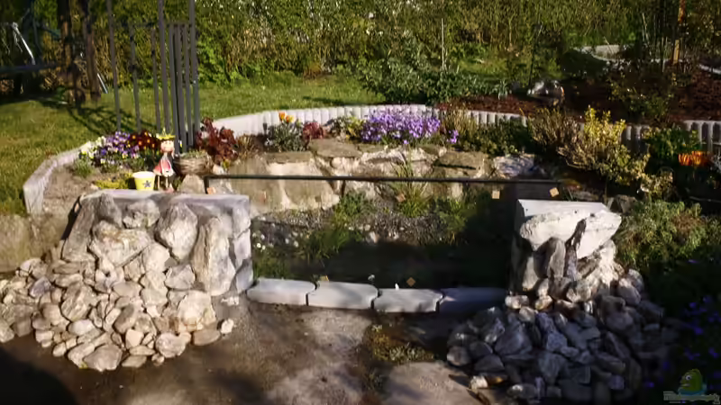 Teich Hauptansicht von Projekt Guck in den Teich Teich Hauptansicht von Projekt Guck in den Teich