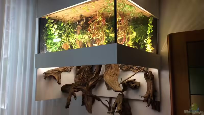 Teich Hauptansicht von Wohnzimmerteich Teich Hauptansicht von Wohnzimmerteich