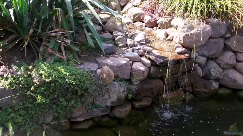 Teich mit Bachlauf und Wasserfall Teich mit Bachlauf und Wasserfall