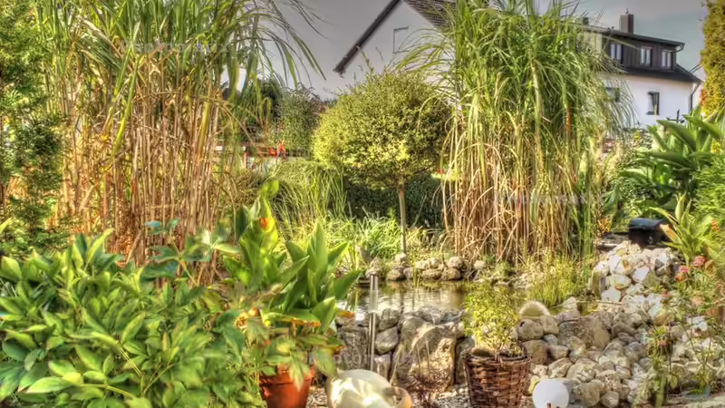 Teichfoto in HDR Qualität Teichfoto in HDR Qualität