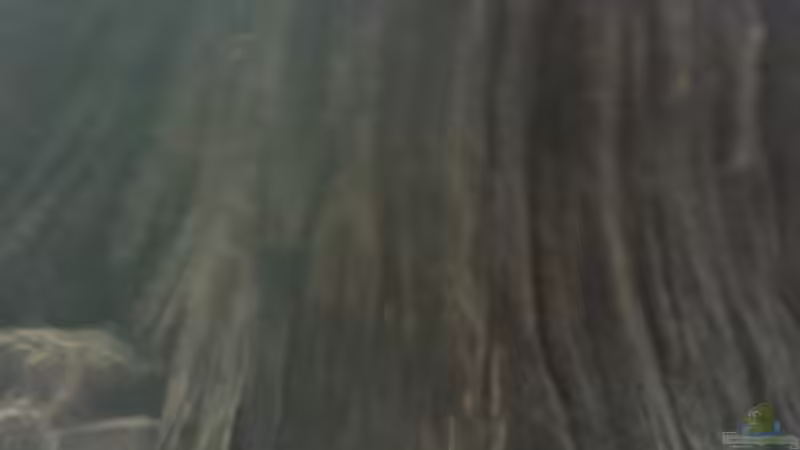 Teil der Rückwand Teil der Rückwand