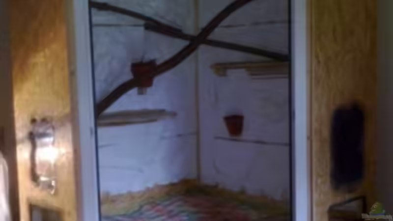 Terrarienbau mit OSB-Platten: Der umfassende Leitfaden für langlebige und sichere Terrarien