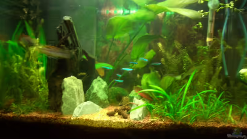 Tetra AquaArt 54L Tetra AquaArt 54L