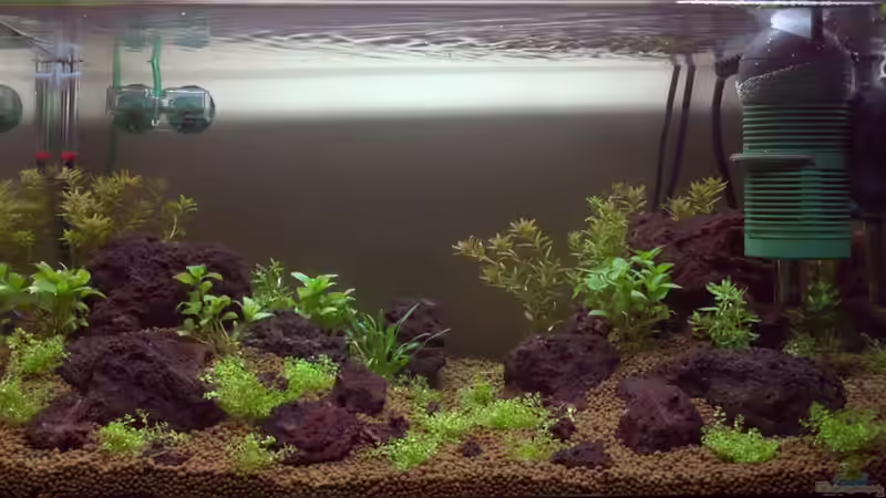 The 2nd Trip The 2nd Trip