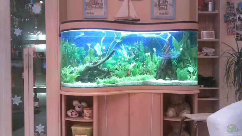 The New! Tyburksi Prestige Aquarium Line 15x gebaut The New! Tyburksi Prestige Aquarium Line 15x gebaut