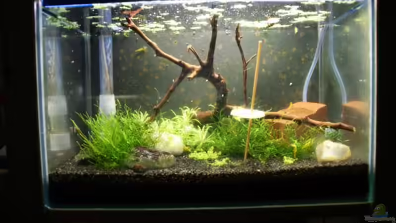 Totalansicht Totalansicht