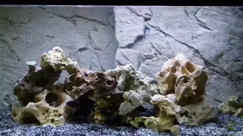 Tropheus Kinderzimmer Tropheus Kinderzimmer