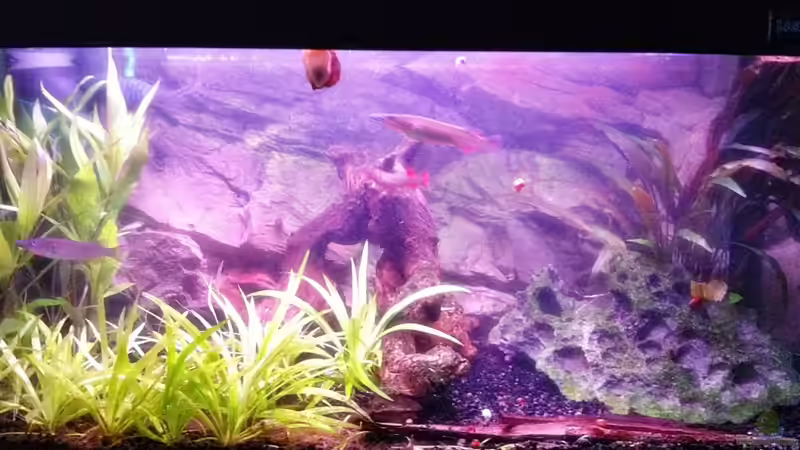 Umbauma??nahme 19.06.2011 Umbauma??nahme 19.06.2011