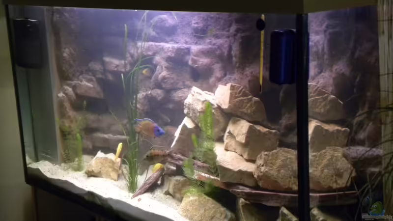 umgestaltung umgestaltung