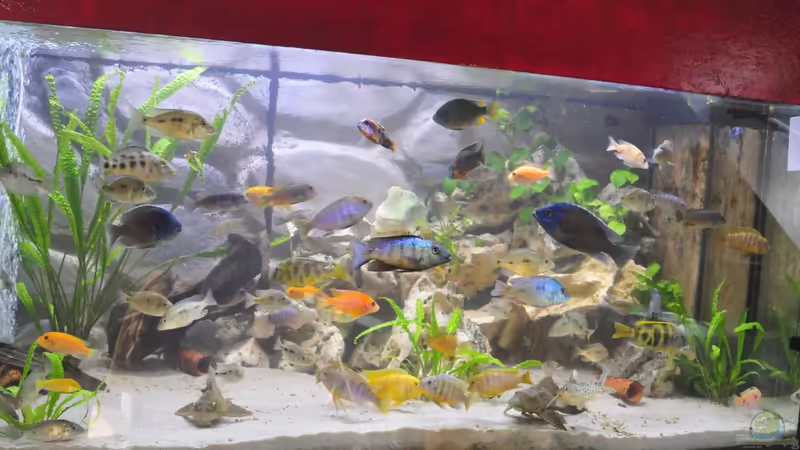 Umgestaltung Umgestaltung