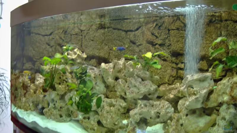 unbestittenes Highlight im Wohnzimmer :-) unbestittenes Highlight im Wohnzimmer :-)