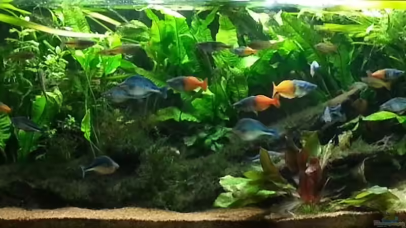 Underwater Rainbows Underwater Rainbows