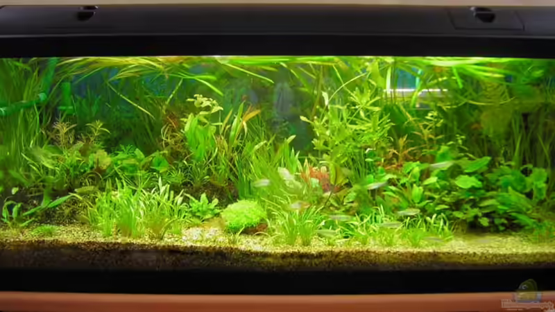 Unser 160 L Becken Unser 160 L Becken