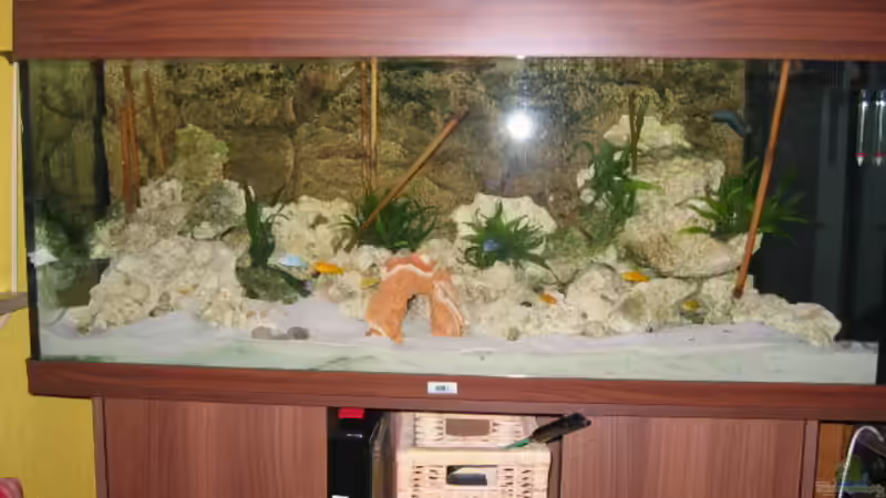 Unser Aquarium Unser Aquarium