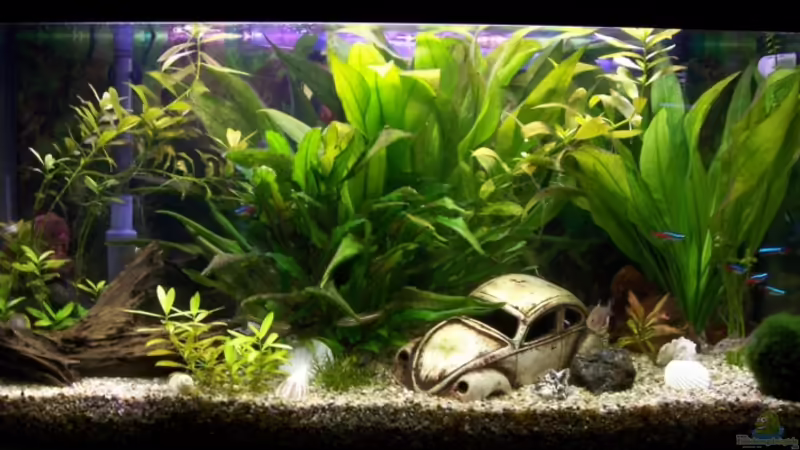 Unser Becken Unser Becken