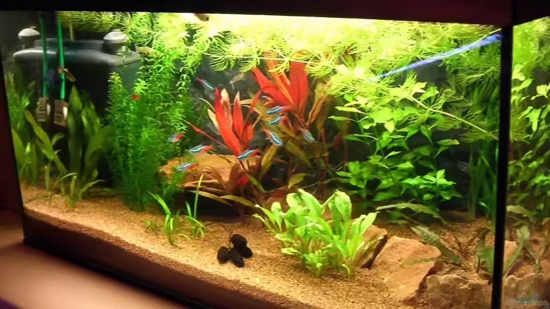 Unser Becken Unser Becken